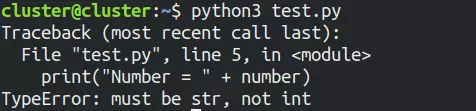 python print error